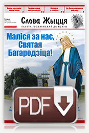 Нумар 9 (491), 29 красавіка 2018