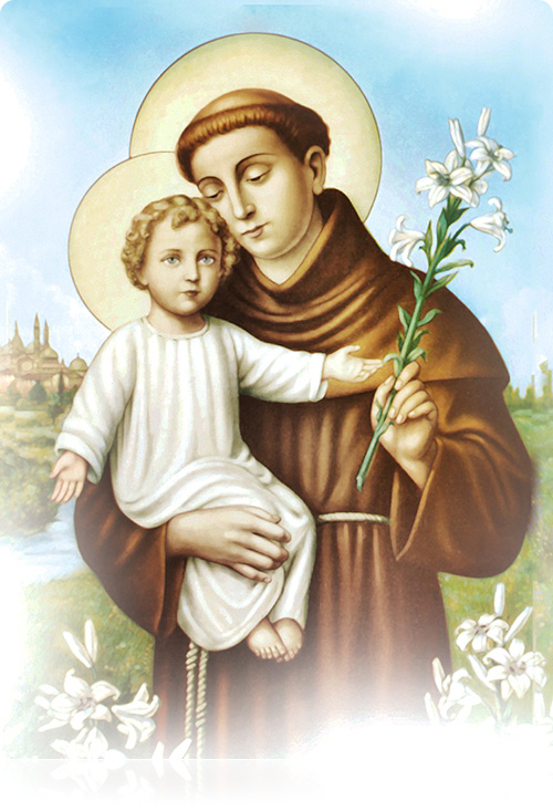 W ikonografii św. Antoni
jest przedstawiany w habicie franciszkańskim. Nieraz jako głoszący kazanie,
czasami trzymający Dziecię Jezus,
które mu się według legendy ukazało.
Jego atrybutami są księga, lilia, serce,
ogień, bochen chleba, osioł, ryba. antoni
