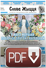 Нумар 9(538), 3 мая 2020