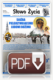 Numer 13 (495), 24 czerwca 2018